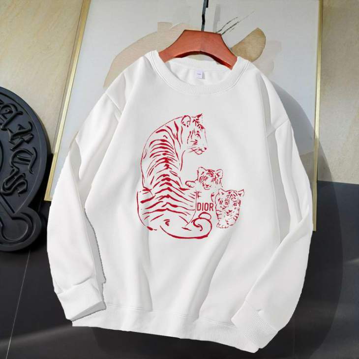 Picture of Dior Sweatshirt _SKUDiorM-4XL11Ln7331722